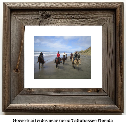 horse trail rides near me in Tallahassee, Florida